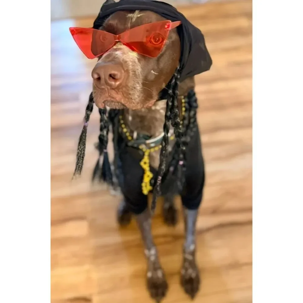 Snoop Dogg Inspired Pet Dog Costume Set Hoodie Braids Glasses Size Large